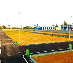 Chaitanya Avenue