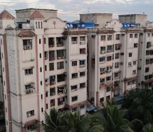 Rna Courtyard