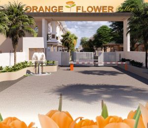 Orange Flower Valley