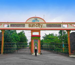 Sun City Gold