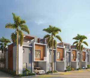 Palm Grove