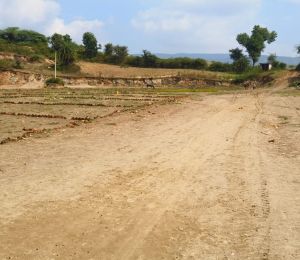 Jeevan Tara Green Valley
