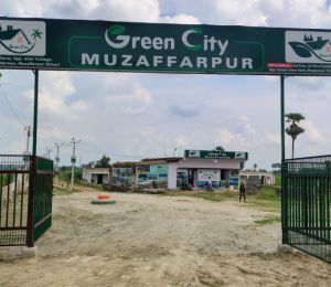 Green City