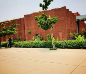 Crest Green