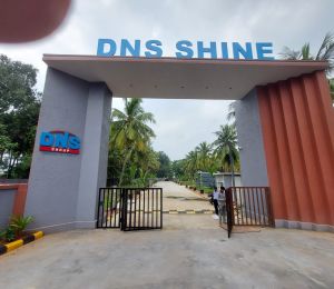DNS Shine