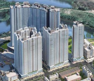 Palm Riveria Mumbra