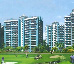 Apex Golf Avenue