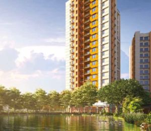 Suncrest Zenith
