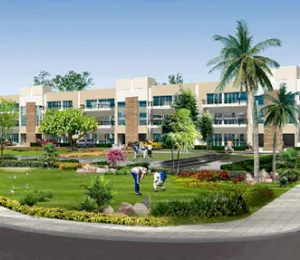 RPS Palms