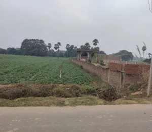 Raunak City Maner