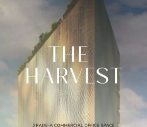 The Harvest