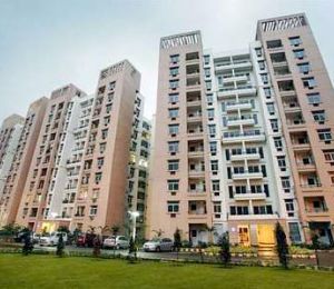 Rohtas Crescent Farm