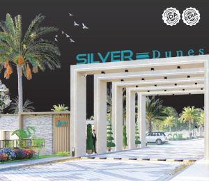 Silver Dunes