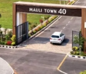 Mauli Town 40