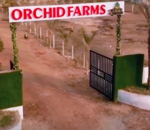 Orchid Farm House