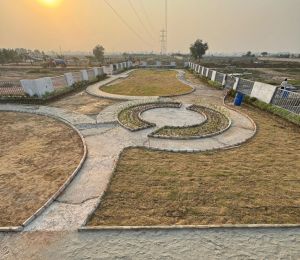 South City 2