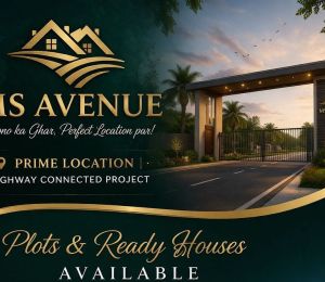 MS Avenue