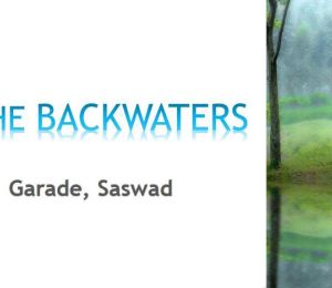 The Backwaters
