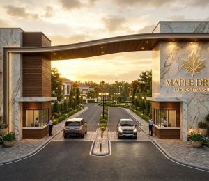 Maple Drive