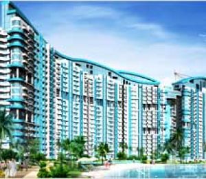 Amrapali Platinum