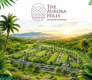 The Aurora Hills