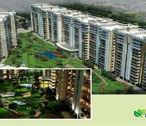 Avalon Ridgeview