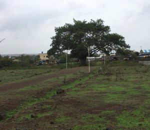 Laxmi Shiv Nagar
