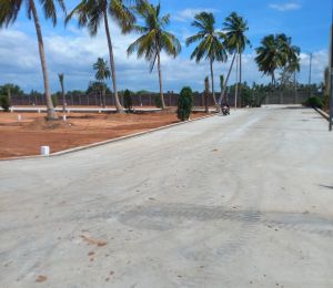 Mango Villa