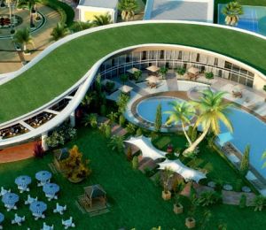 Green ParC II