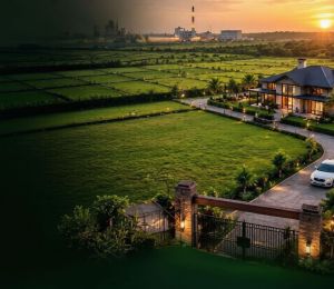 Anvita Farm