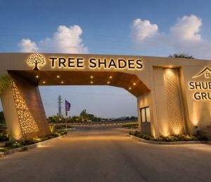 Tree Shades