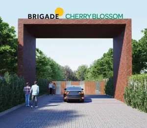 Brigade Cherry Blossom