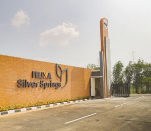 Silver Springs Prime