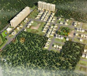 VBHC Greenfields