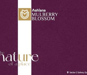 Ashiana Mulberry Blossom