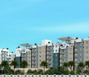 Palm Riviera