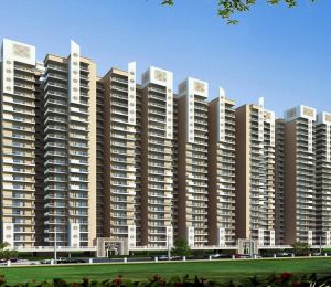 Divyansh Onyx