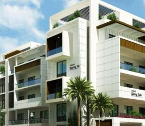 Elegant Springdale