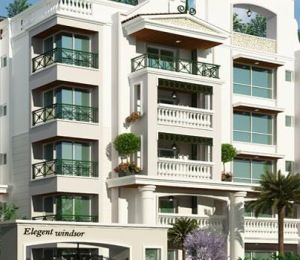 Elegant Windsor