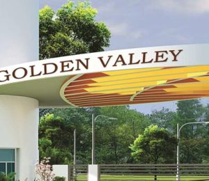 Golden Valley ll