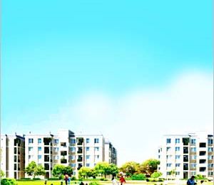 Celebration - Jaipur