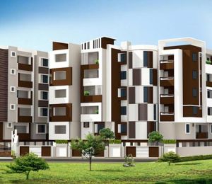 DS MAX Starline