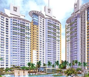 Ideal Heights