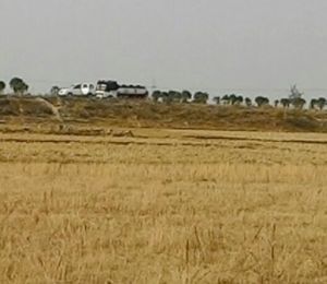 Chandrak Kashiyana
