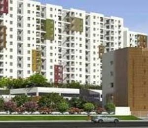 Panchsheel Premium 24