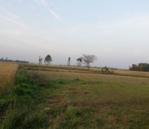 Subhaalaya