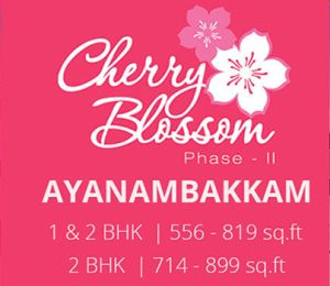 Cherry Blossom Phase II