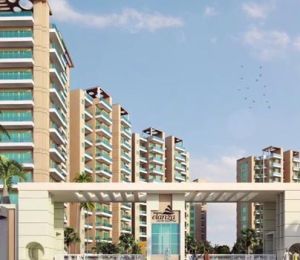 Resizone Elanza
