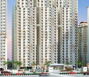 AVJ Homes