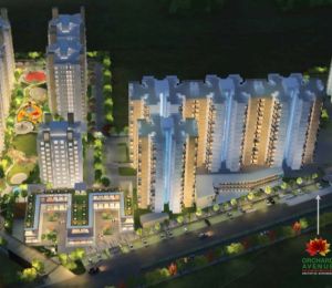 Orchard Avenue​